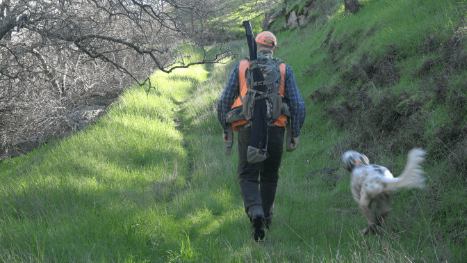 pod_ccwa2_dalewalking