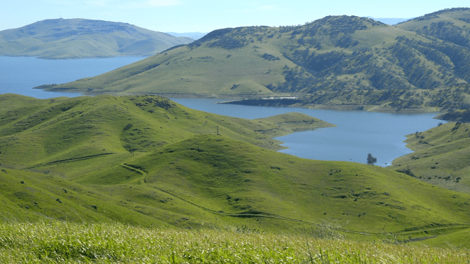 pod_ccwa2_slrinwintergreen