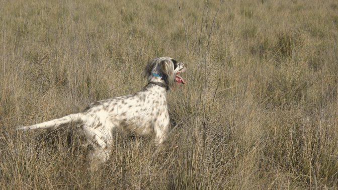 pod_pride_watching_6