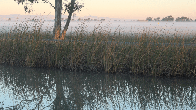 howimetronphotos_hihpfog