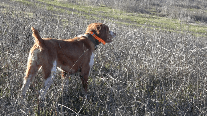 howimetronphotos_ripley2