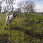 O’Neill Forebay Wildlife Area