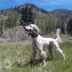 Road Trip – Farad, CA