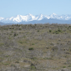 Road Trip – Little Wood River, ID