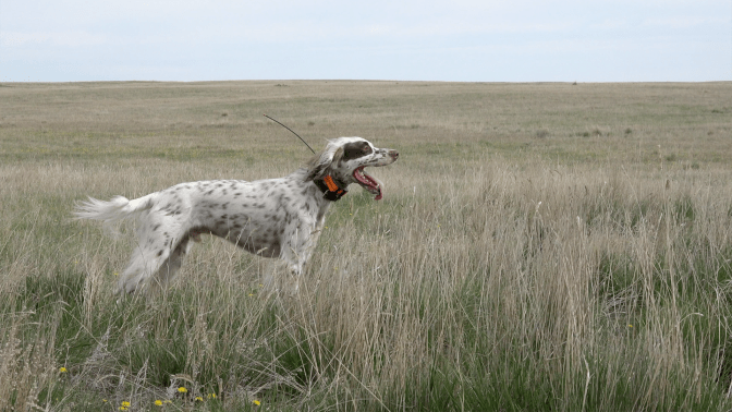 POD_RoadTrip_Blaine3