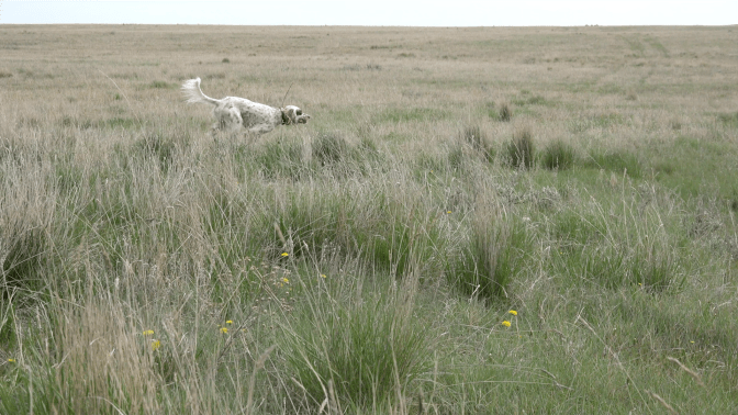 POD_RoadTrip_Blaine4