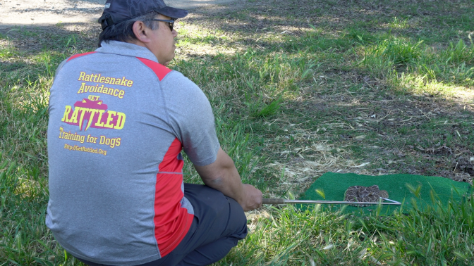 POD_SnakeTraining3