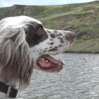 Road Trip – Diefenbaker Lake, SK