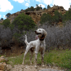 Road Trip – Echo Canyon, UT