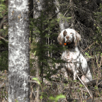 Road Trip – Greenwater Lake, SK