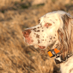 Road Trip – Kelvington, SK