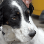 Road Trip – Lizzie!