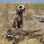 Preseason Warm Up Hunt