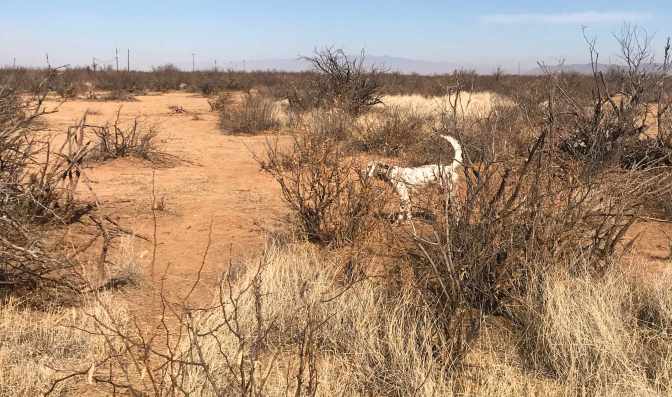 POD_AZ_FirstGambPoint