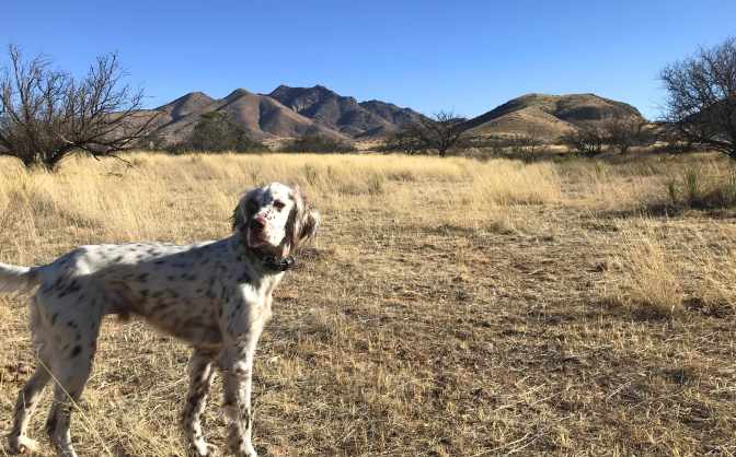 POD_AZ_NoScaleGranitePeak