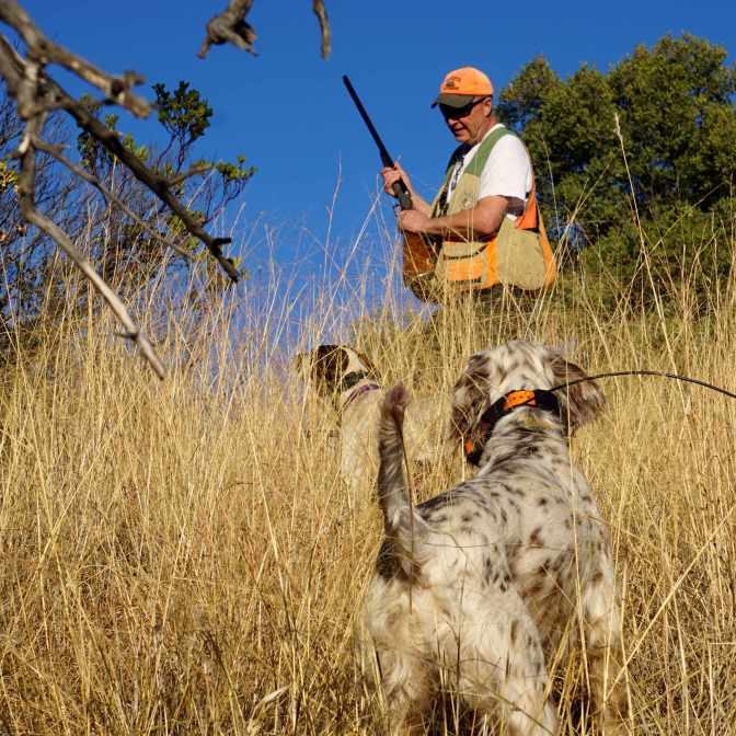 POD_AZ_PattyBacksPearl