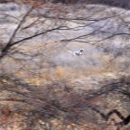 Two Minutes in Shasta County